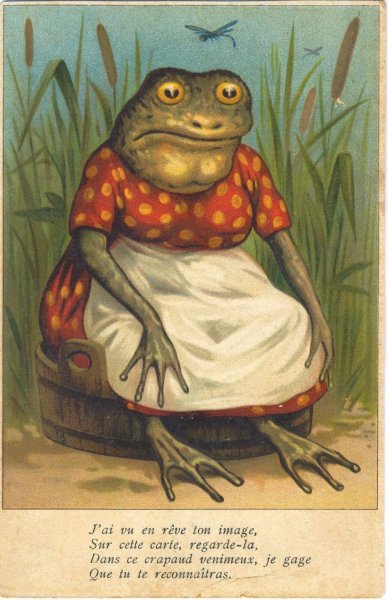 Лягушка прикольная рисованная