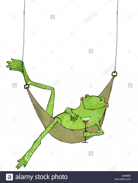 Доброе утро лягушка