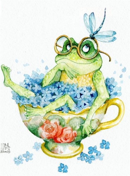 Лягушка узор