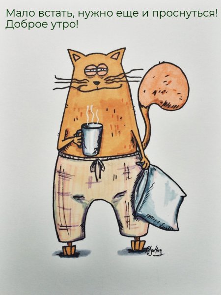 Смешной кот рисунок