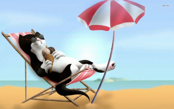 Кот загорает