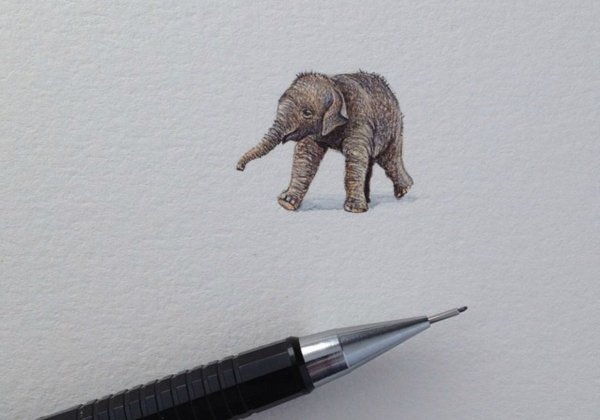 Brooke Rothshank миниатюры рисунки