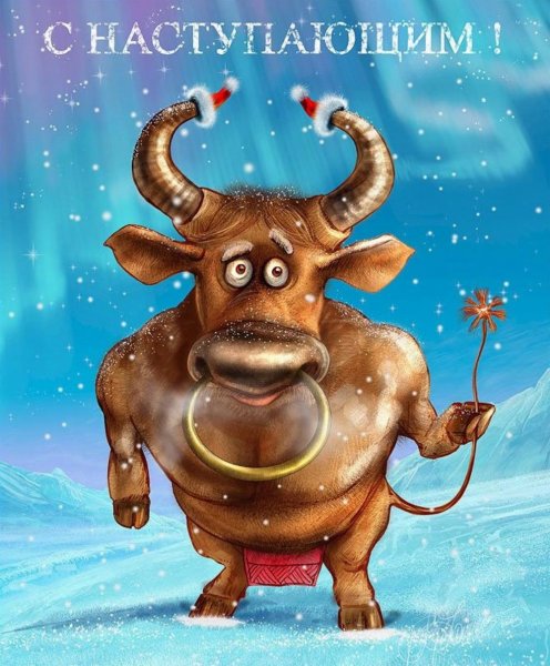 Год быка 2021