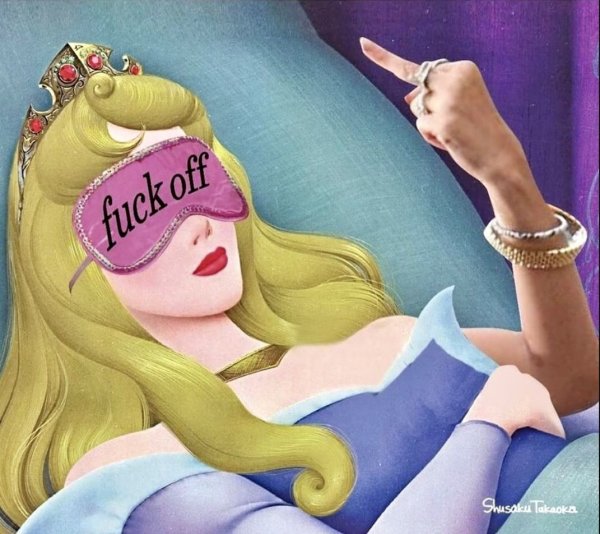 Бич принцессы Дисней