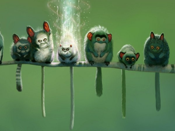 Прикольные обои