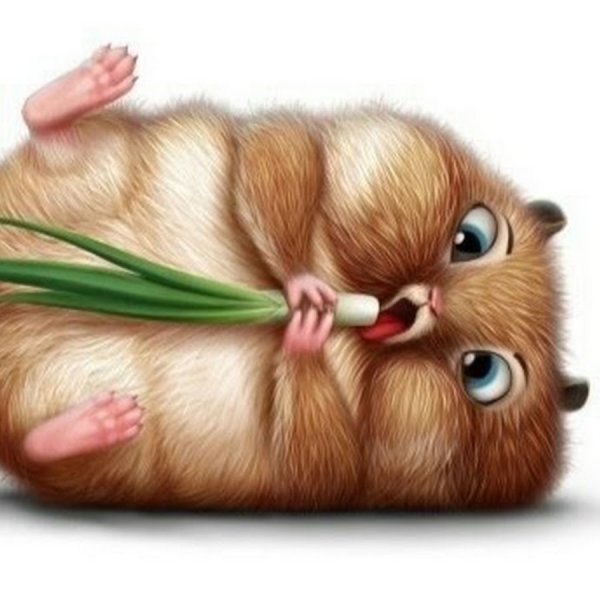 Хомяк мультяшный