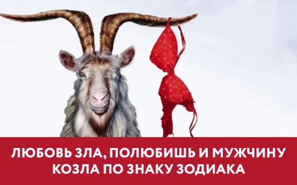 Влюбленный козел