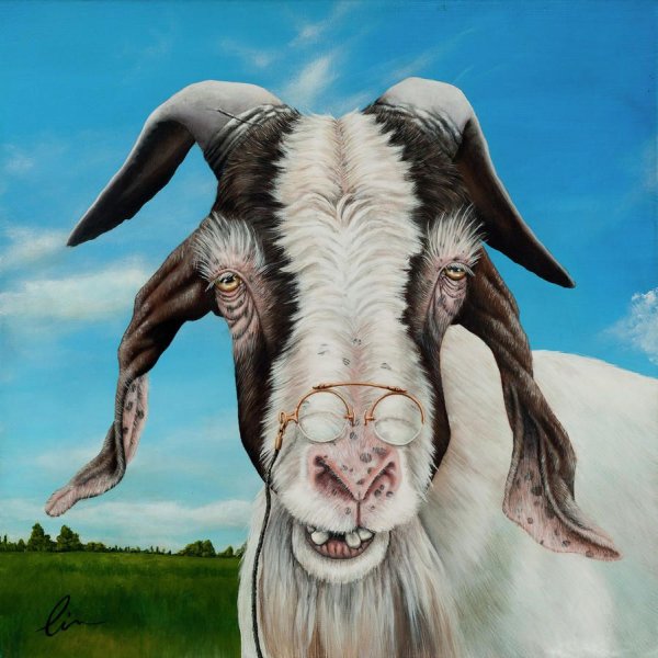 Старая коза