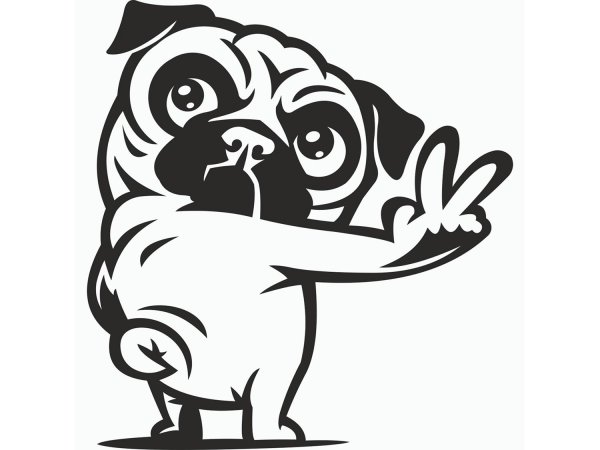 Мопс черно белый