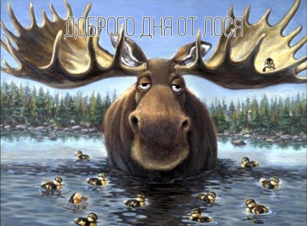 Смешной Лось рисунок