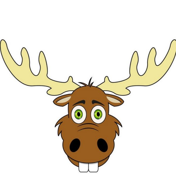 Мордочка лося