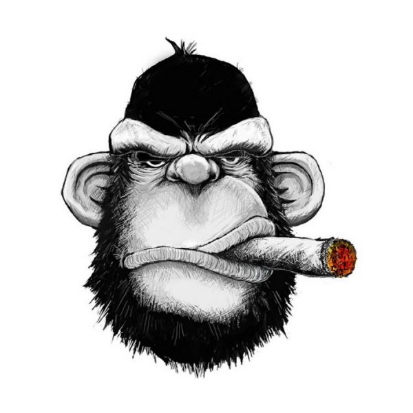 Брутальная обезьяна