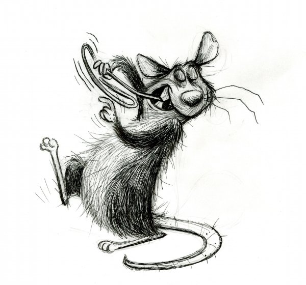Крыса рисунок