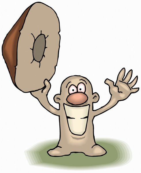 Грибы гифы для презентаций