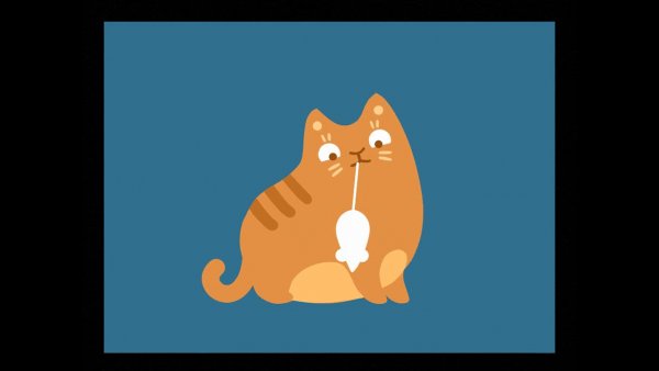 Анимированный котик