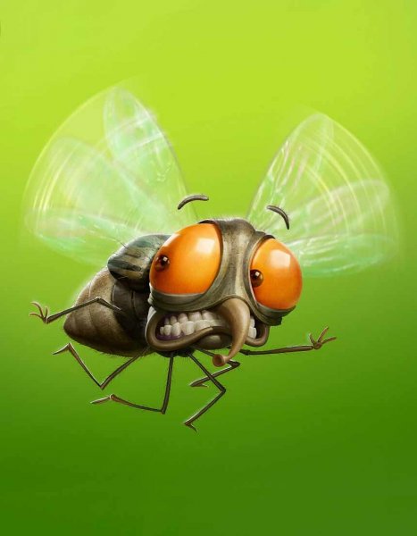 Смешная Муха