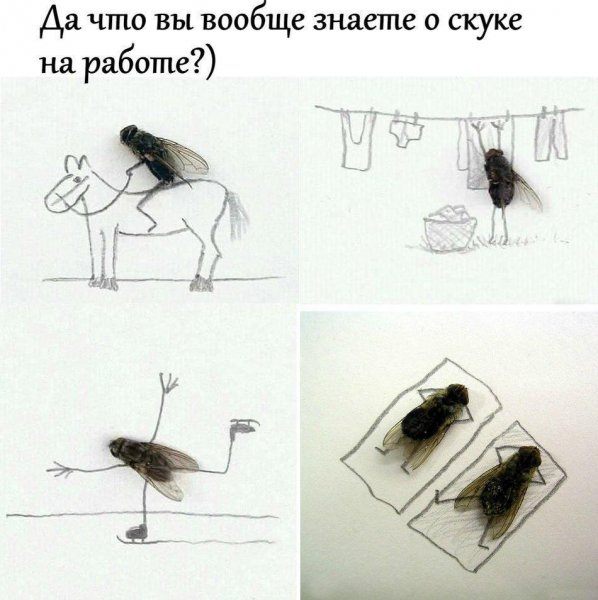 Муха рисунок