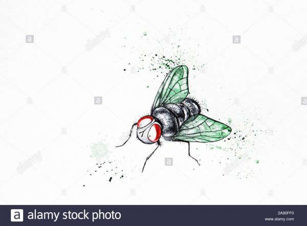 Нарисовать мушку