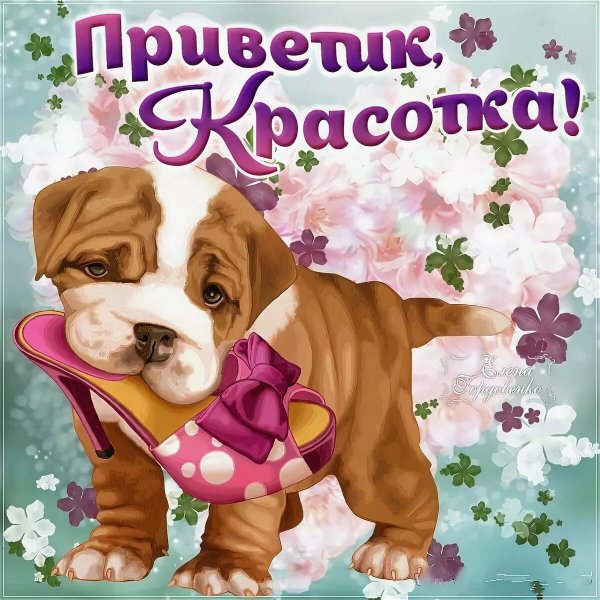 Приветик красотка