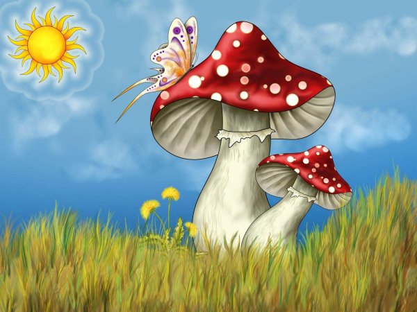 Мухомор для детей