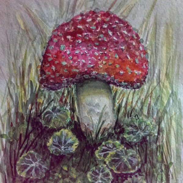 Мухомор гуашью