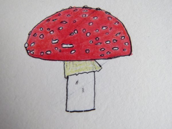 Рисование грибов мухоморов