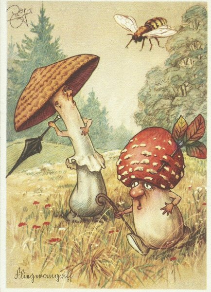 Смешные сказочные грибы