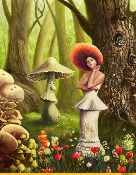 Веселый гриб