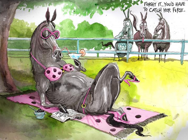 Лошадь карикатура