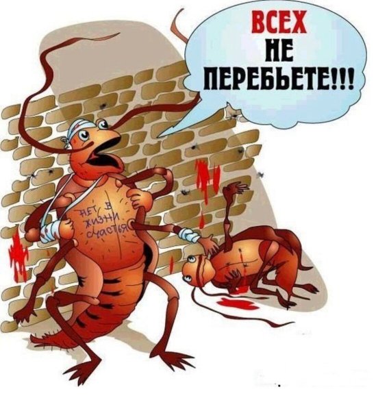 Таракан прикольный