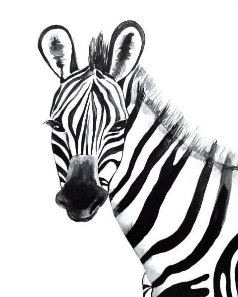 Зебра принт на висках