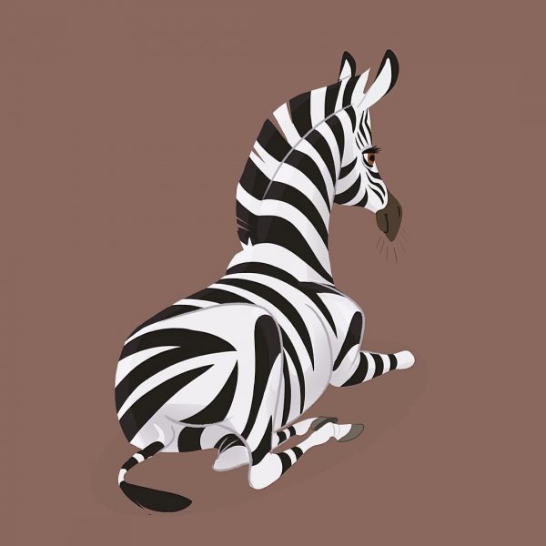 Зебра референс