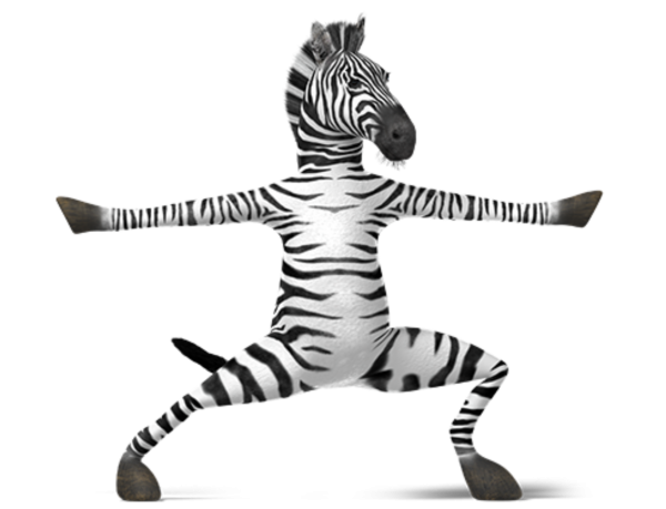Зебра смешная на белом фоне