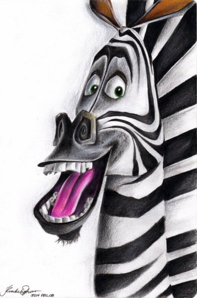 Зебра Марти