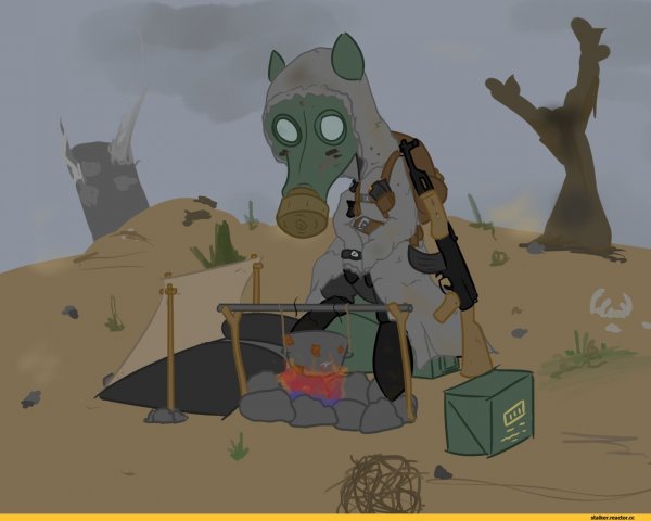 Сталкер арт смешной