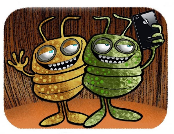 Блоха мультик