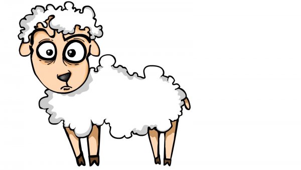 Овечка рисунок прикольный