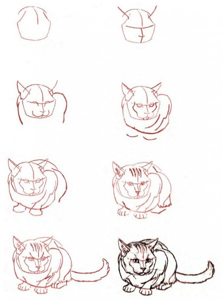 Поэтапные рисунки