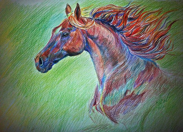 Рисунки цветными карандашами