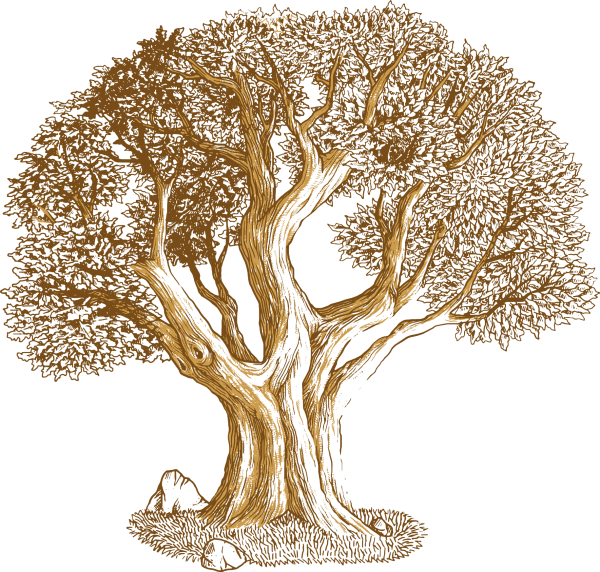 Изображение дерева