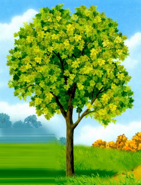 Дерево для детей