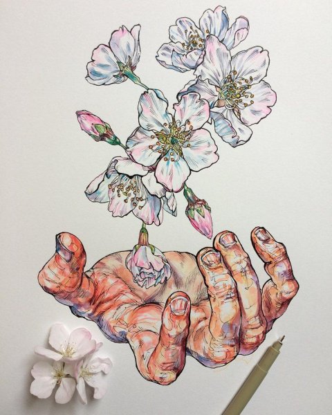 Эстетика рисования