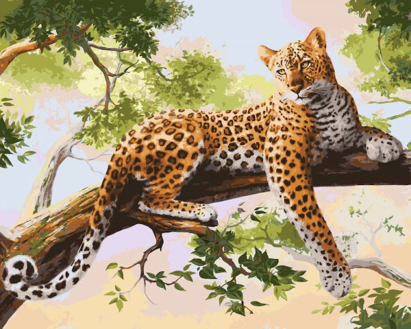 Берберийский леопард