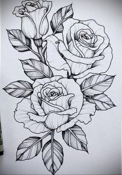 Цветы карандашом