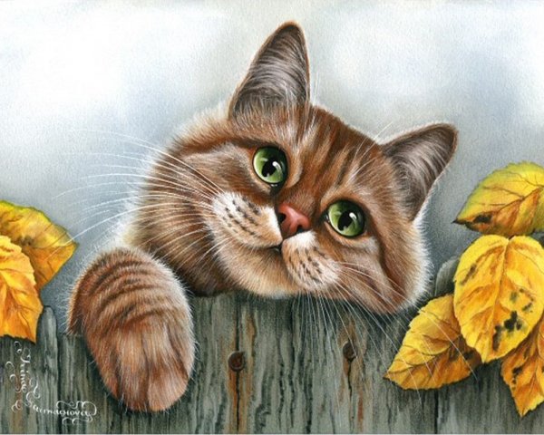 Картины Ирины Гармашовой коты