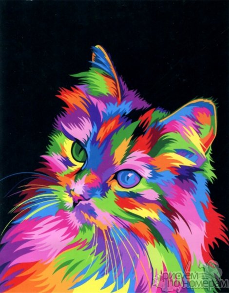 Радужный кот