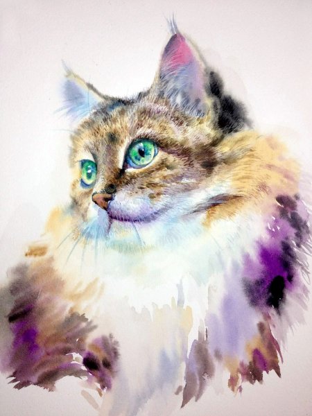 Анималистика художника - акварелиста Kitipong Maksin (Bangkok-Thailand )