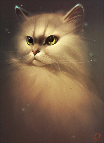 Фэнтези кошки