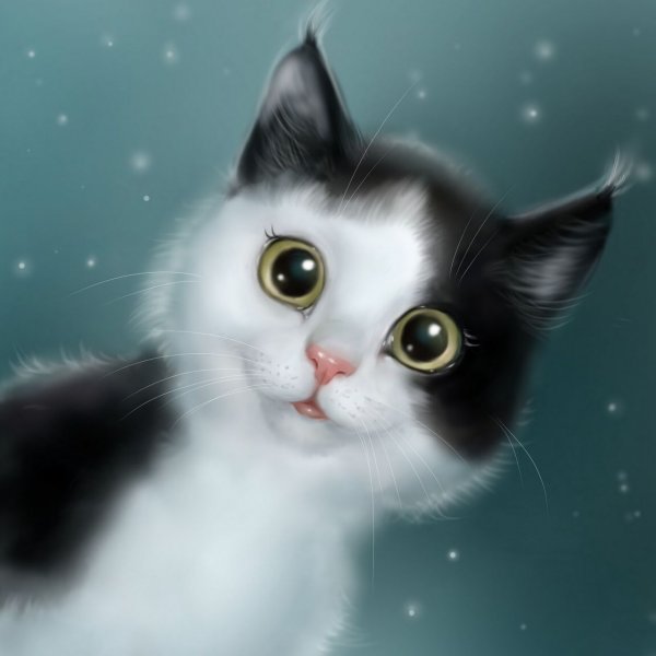 Кошка арт