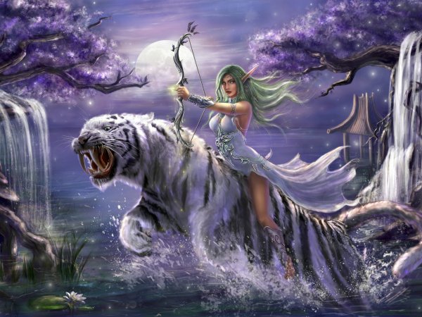 Тигр Тиранды